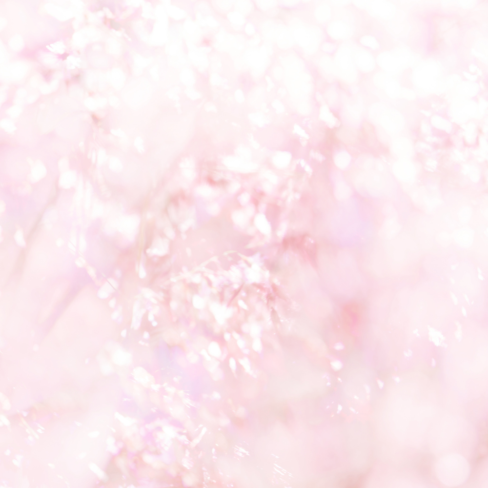 Floral Elegant Romantic Scent World