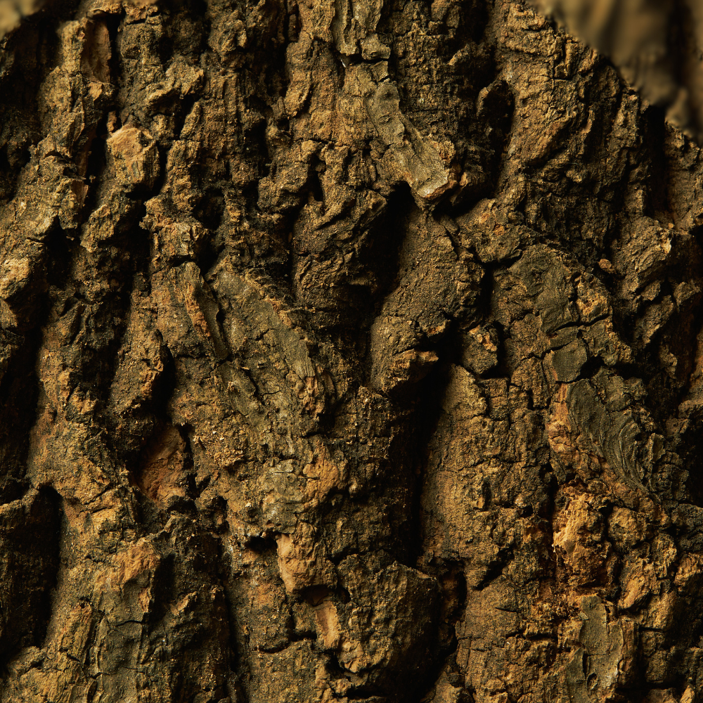 Woody Earthy Green Scent World