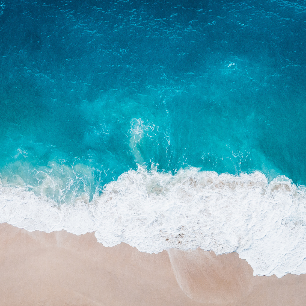 Fresh Aquatic Oceanic Scent world